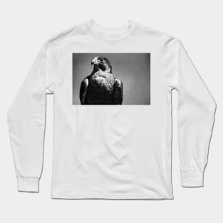 Peregrine Falcon Black and White Long Sleeve T-Shirt